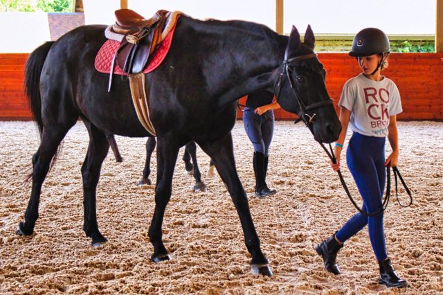 Camp Horse Program Video