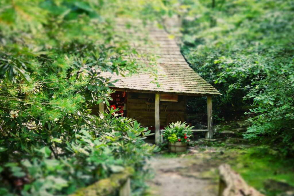 north carolina camp cabin