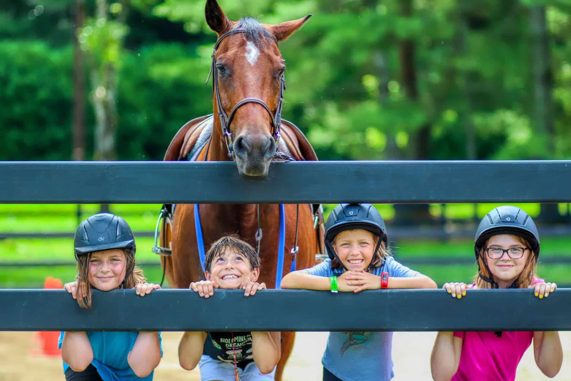 summer camp children and horse