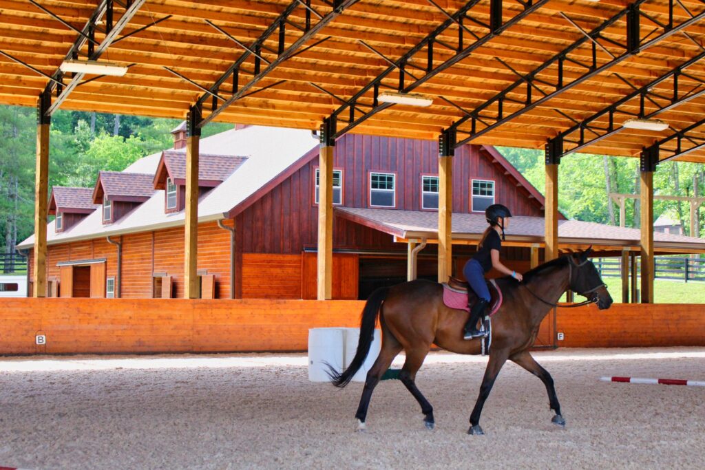 camp horseback riding kid