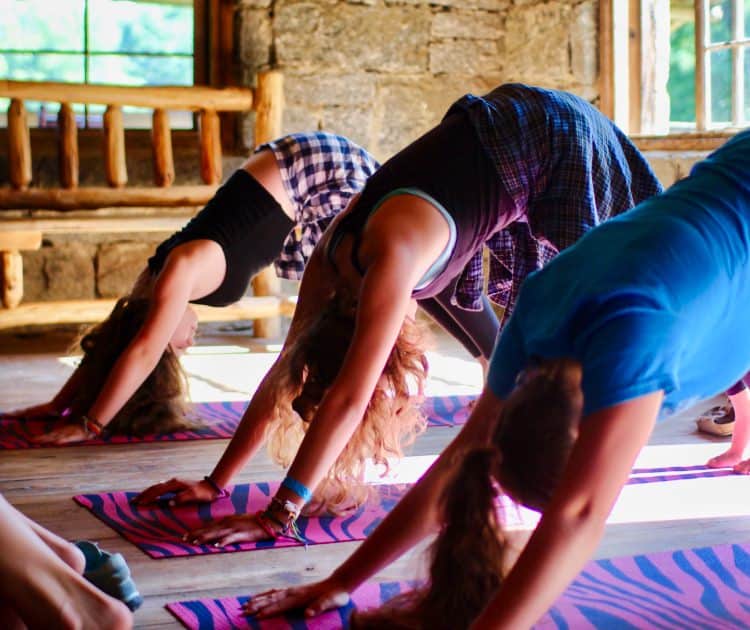 downward dog yoga pose