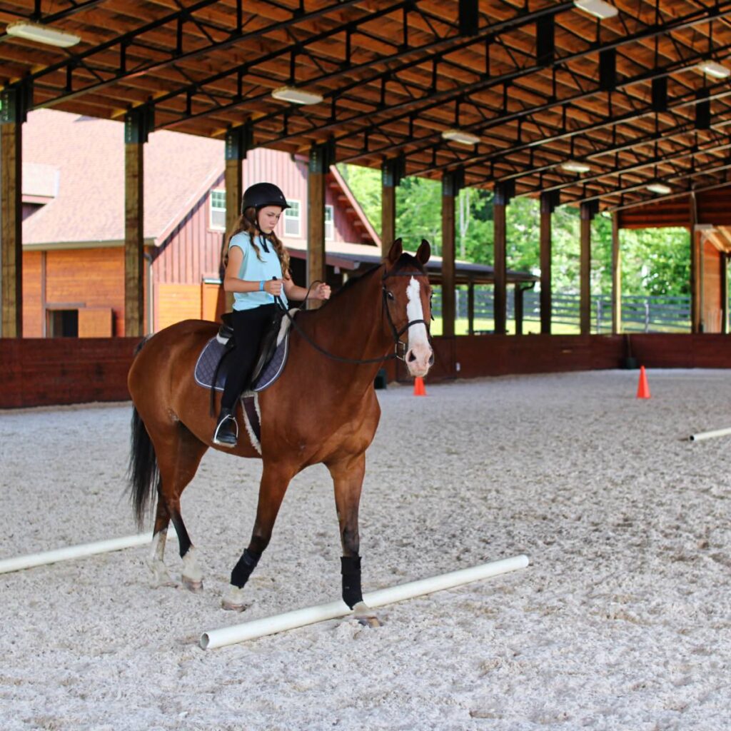 Girl horse-riding camper