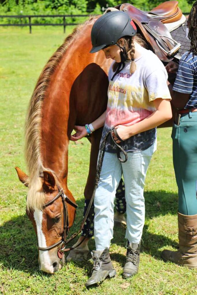 Horse Camp 4-legged friend