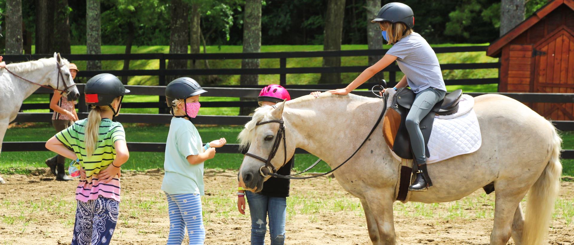 camp horse children