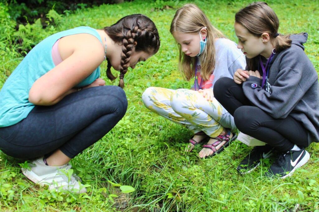 kids exploring nature