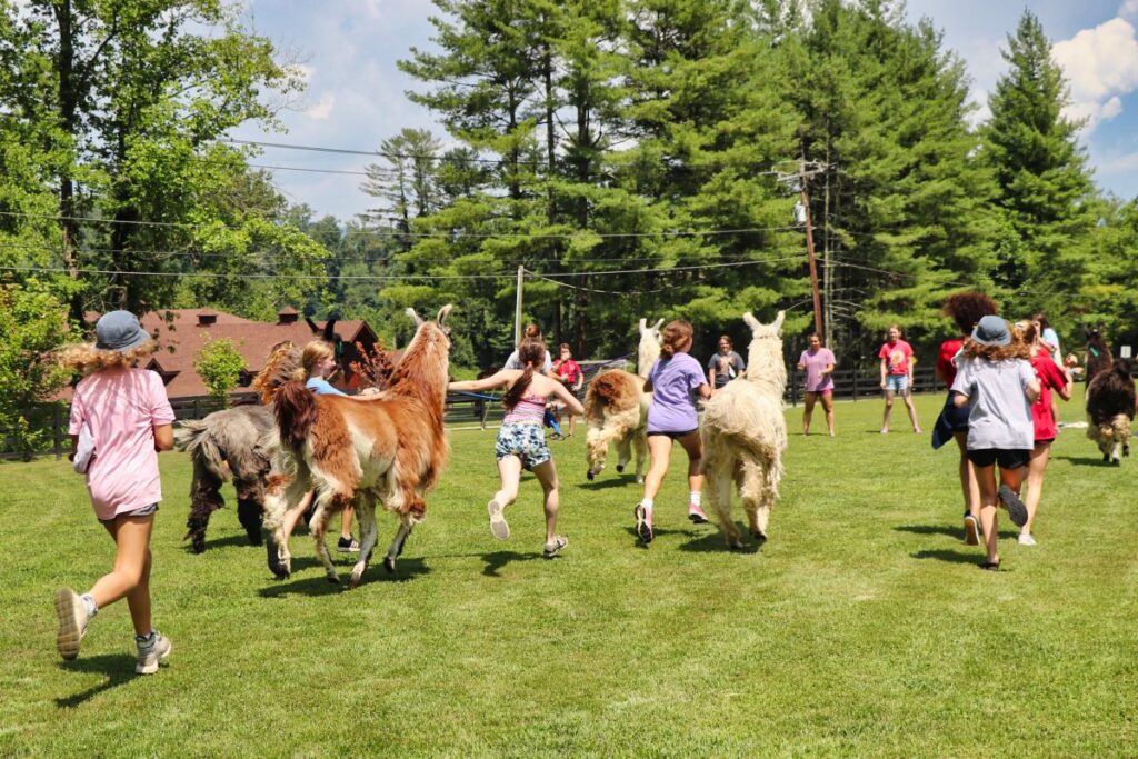 camp lama race