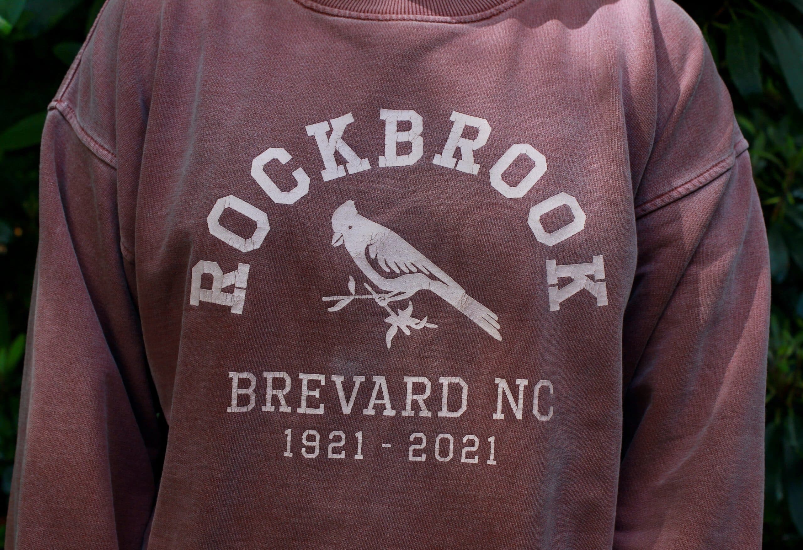 cranberry crew close up