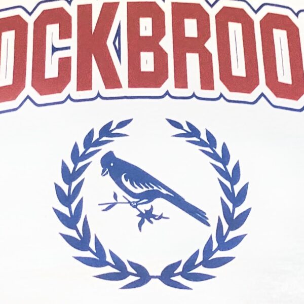 Rockbrook Logo Water Bottle