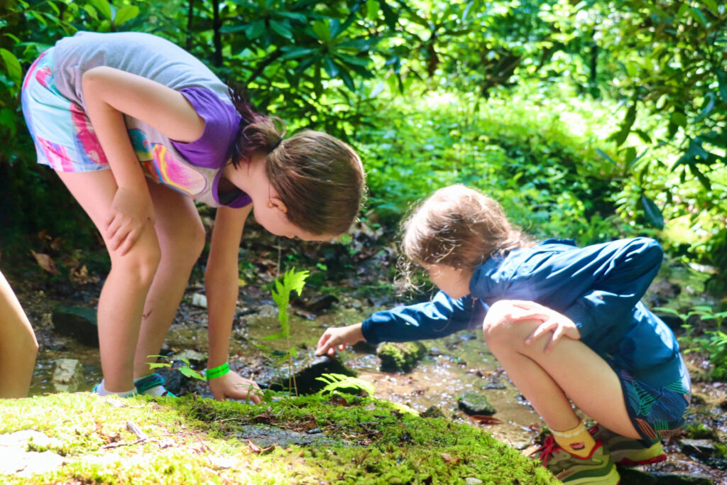 camp nature girls exploring