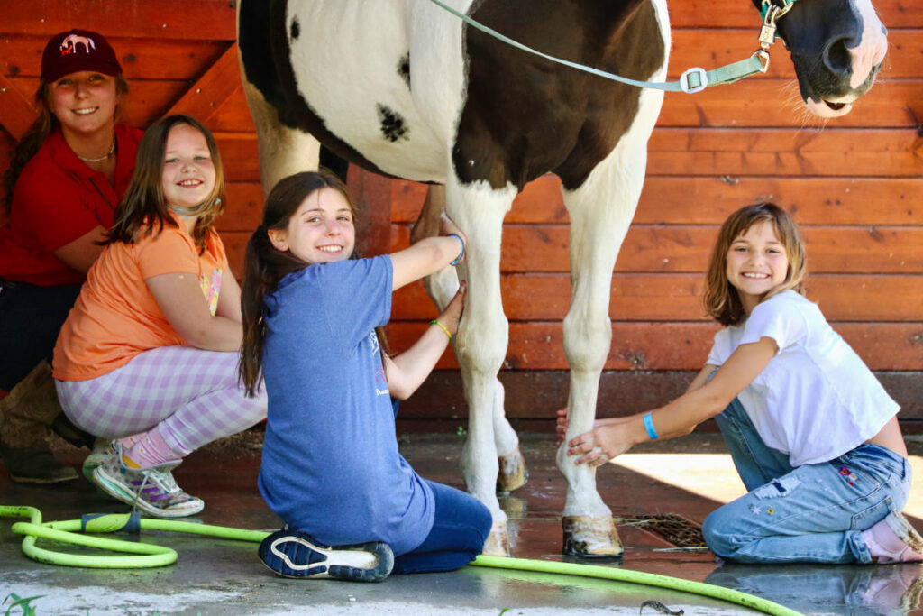 kids washing a horse