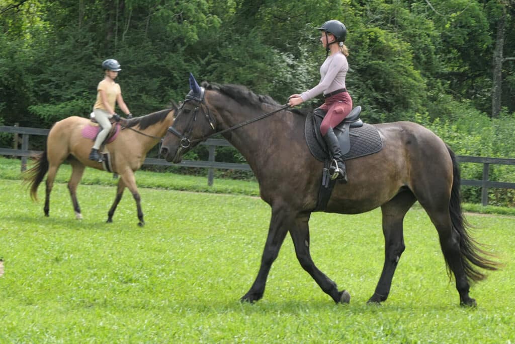 summer camp horse riders