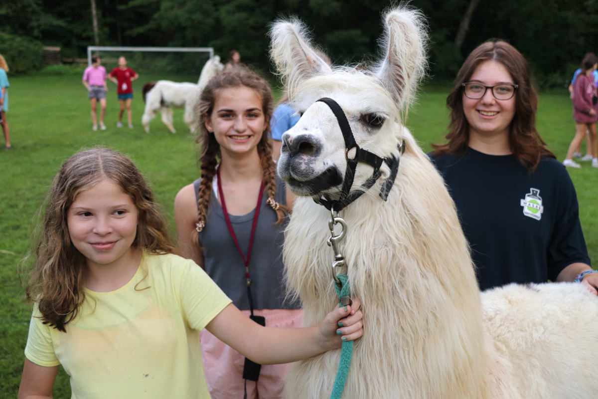 llama posing with 3 girls
