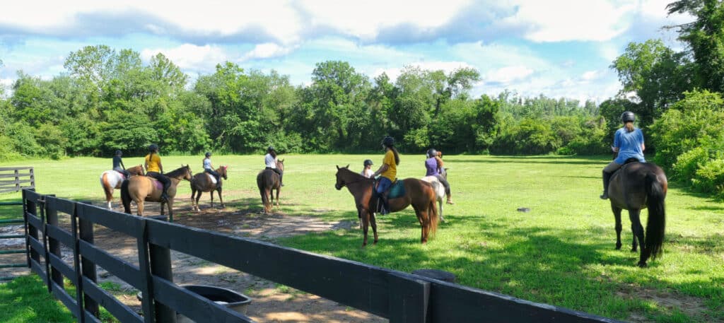 camp pasture hore ride