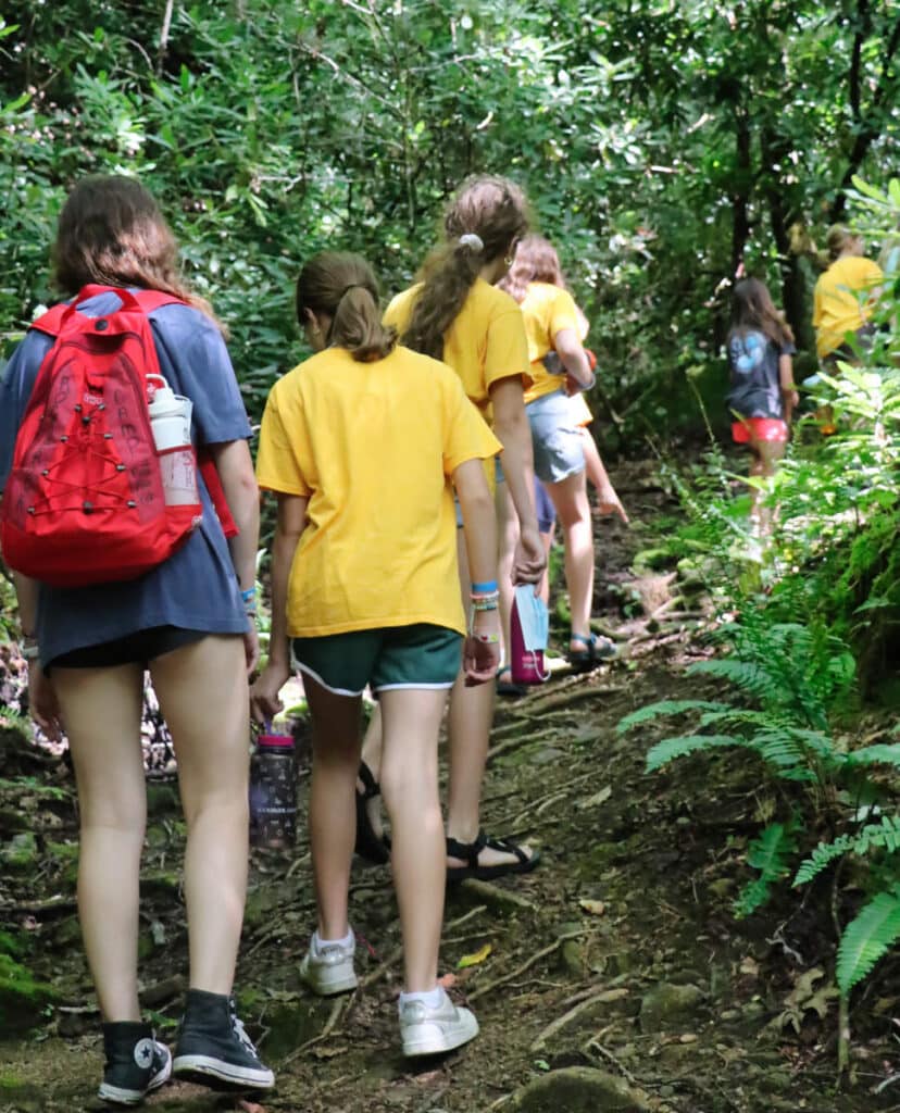 summer camp group hiking on forest