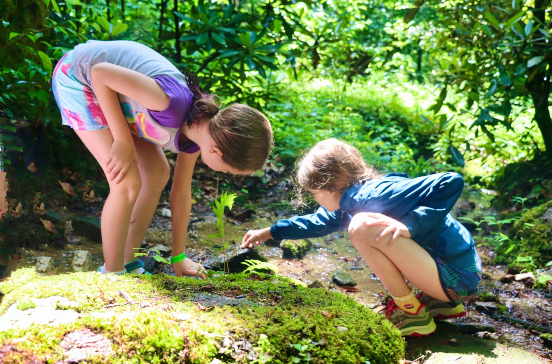 summer camp girls exploring nature