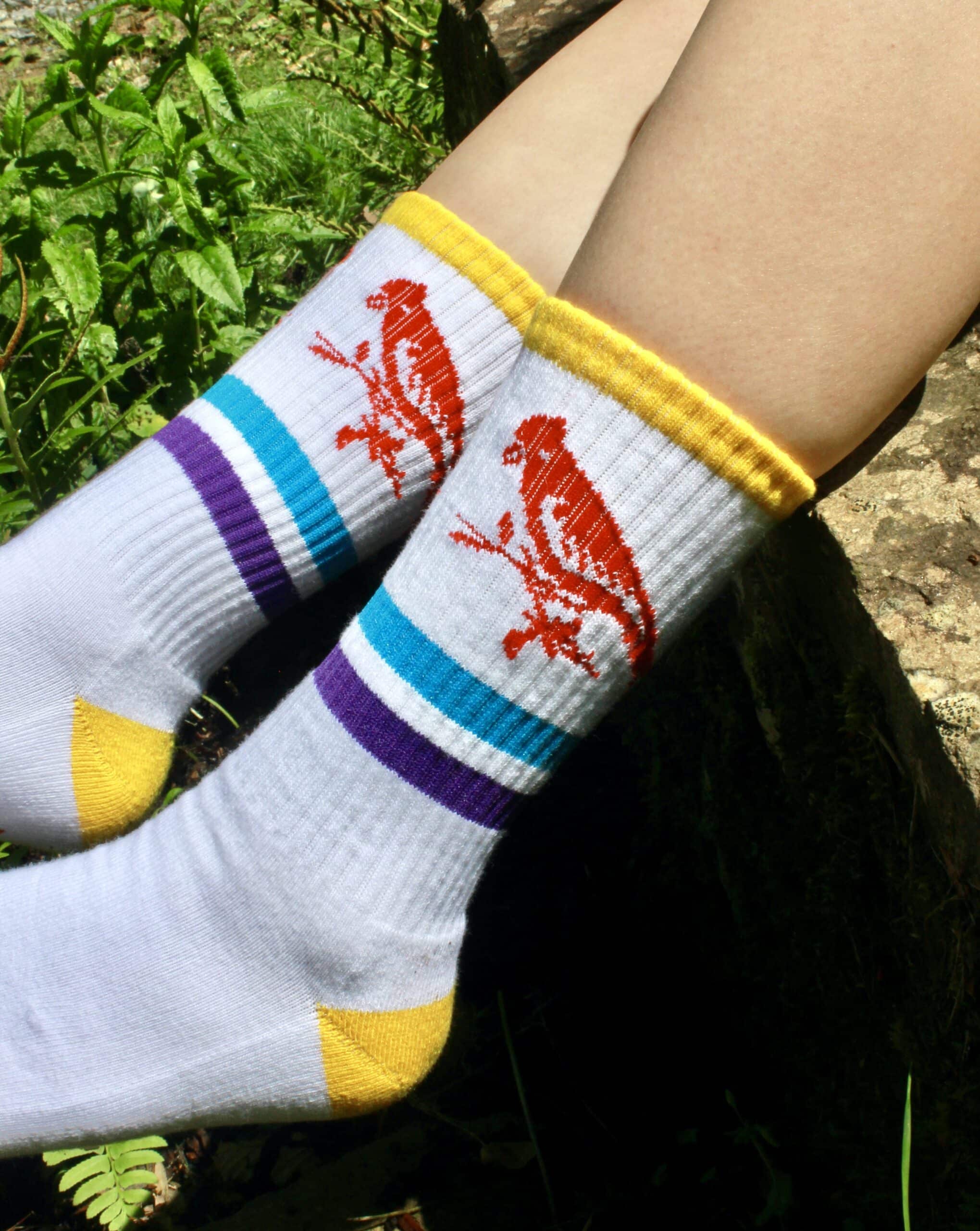 striped crew sock close up