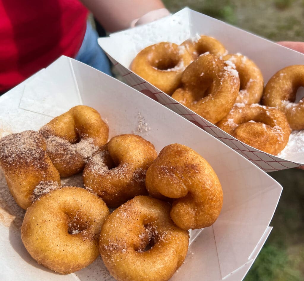 homemade camp donuts