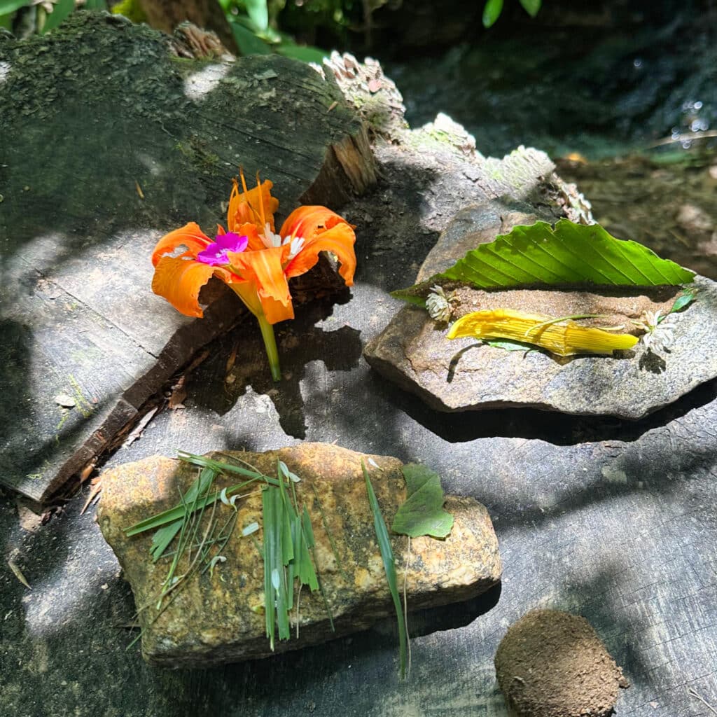 flower stems and petals