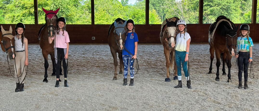 Camp horse girls in a line