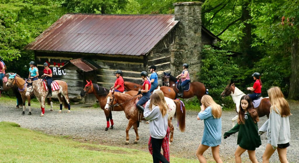 horse in summer camp on 4th of july