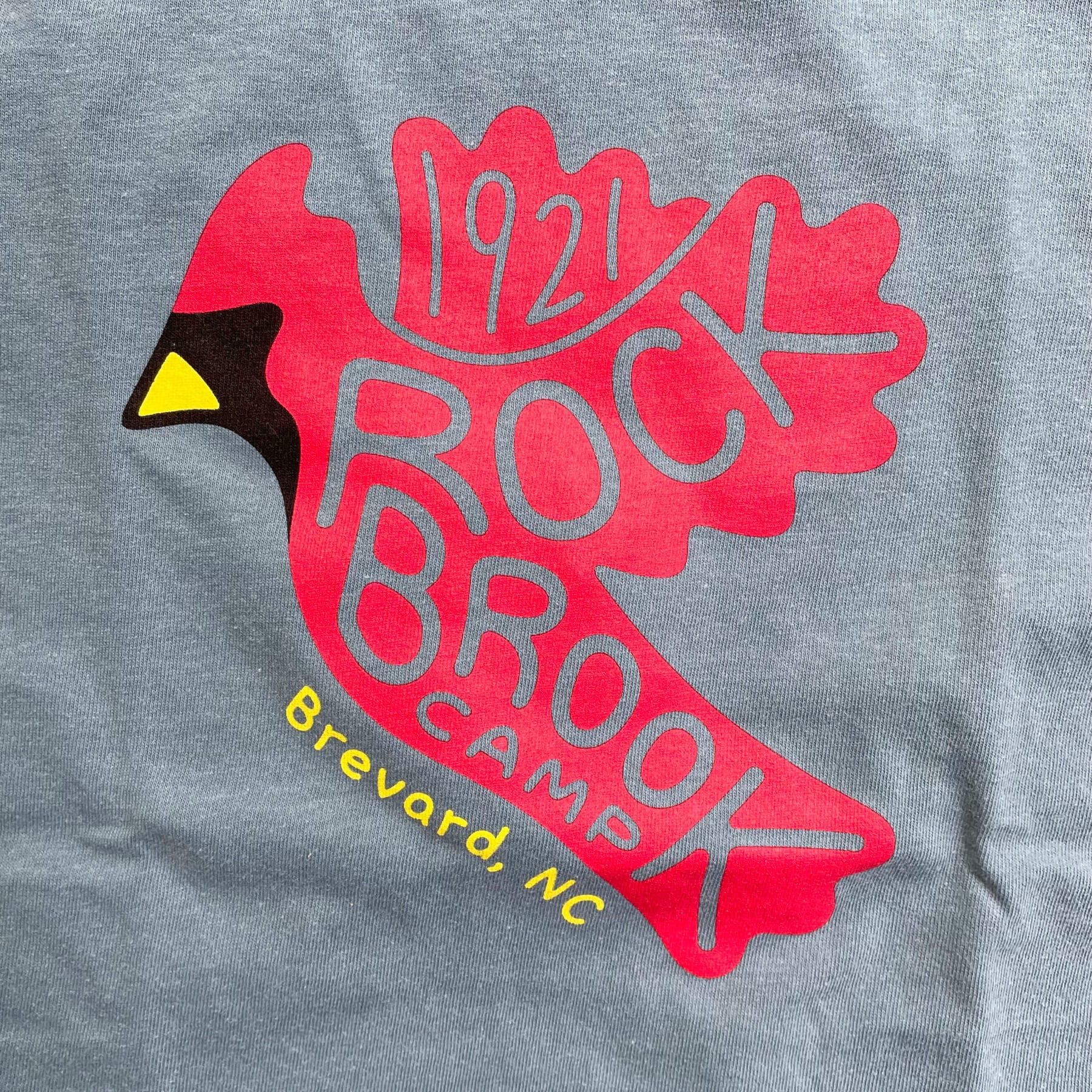 blue t-shirt camp design